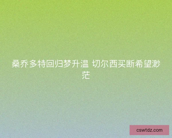 桑乔多特回归梦升温 切尔西买断希望渺茫