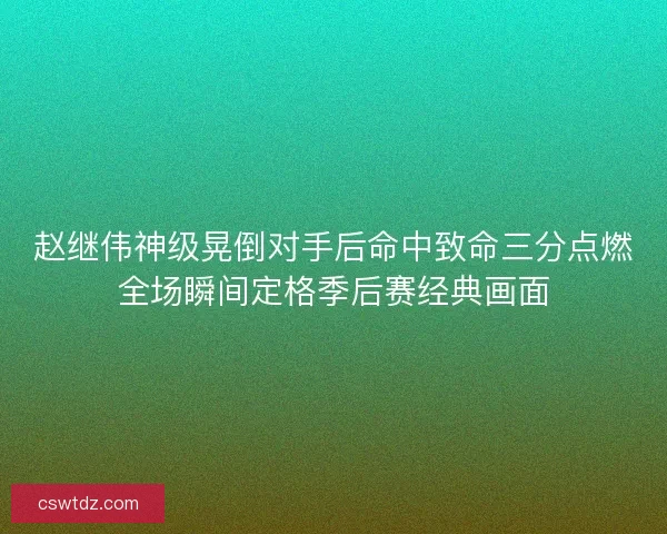 赵继伟神级晃倒对手后命中致命三分点燃全场瞬间定格季后赛经典画面